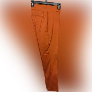 Passports Women Pull On Pants, size L
